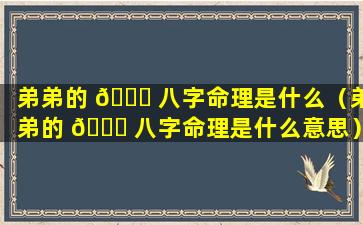 弟弟的 🍀 八字命理是什么（弟弟的 🐞 八字命理是什么意思）